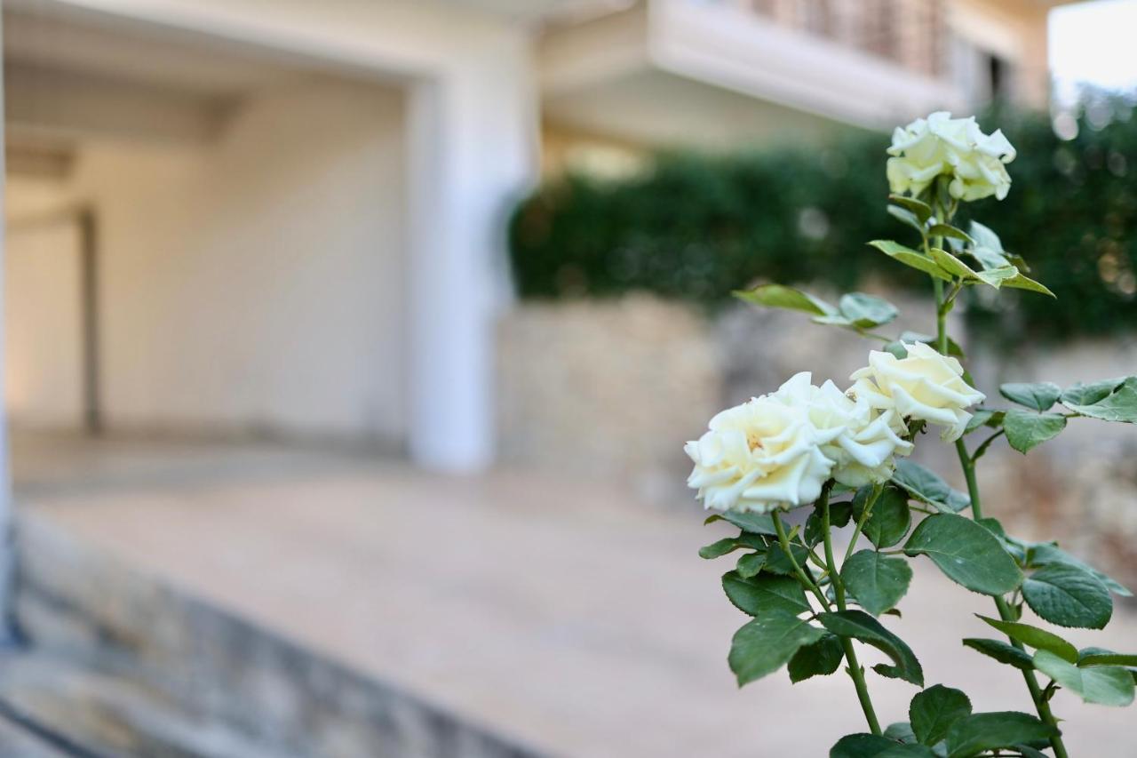 Μικρό Διαμέρισμα Της Αγγελικής Με Αυλή Και Parking 卡拉马塔 外观 照片